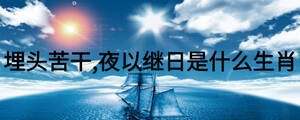 埋头苦干,夜以继日是什么生肖