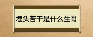 埋头苦干是什么生肖