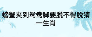 螃蟹夹到鸳鸯脚要脱不得脱猜一生肖