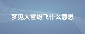 梦见大雪纷飞什么意思