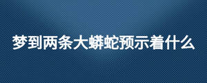 梦到两条大蟒蛇预示着什么