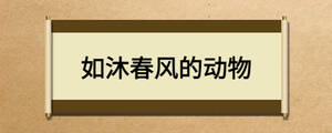 /nameask/24958.html