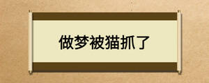 做梦被猫抓了