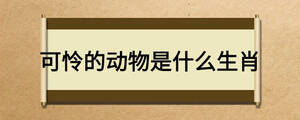 可怜的动物是什么生肖