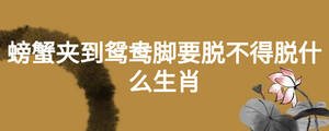 螃蟹夹到鸳鸯脚要脱不得脱什么生肖