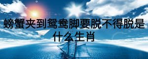螃蟹夹到鸳鸯脚要脱不得脱是什么生肖