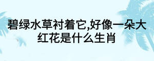 碧绿水草衬着它,好像一朵大红花是什么生肖
