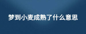 /nameask/25048.html