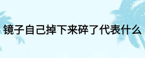 镜子自己掉下来碎了代表什么