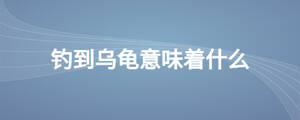 钓到乌龟意味着什么