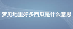 /nameask/25044.html