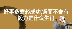 好事多磨必成功,锲而不舍有毅力是什么生肖