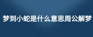 梦到小蛇是什么意思周公解梦