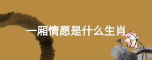 /nameask/25153.html