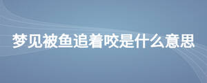 梦见被鱼追着咬是什么意思