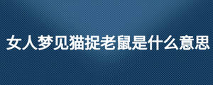 女人梦见猫捉老鼠是什么意思