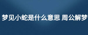 梦见小蛇是什么意思 周公解梦