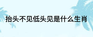 抬头不见低头见是什么生肖