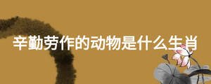 辛勤劳作的动物是什么生肖