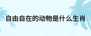 自由自在的动物是什么生肖