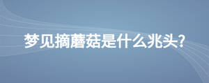 /nameask/25247.html