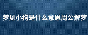 梦见小狗是什么意思周公解梦