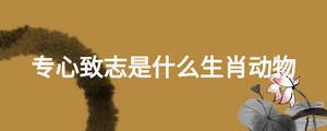 专心致志是什么生肖动物