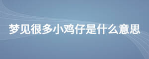 梦见很多小鸡仔是什么意思