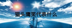 猫头鹰笑代表什么