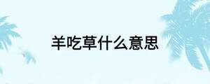/nameask/25263.html