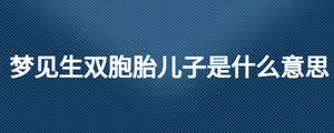 梦见生双胞胎儿子是什么意思