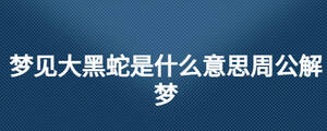 梦见大黑蛇是什么意思周公解梦