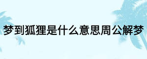 梦到狐狸是什么意思周公解梦