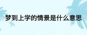 梦到上学的情景是什么意思