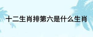 十二生肖排第六是什么生肖