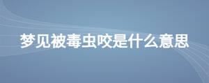 梦见被毒虫咬是什么意思