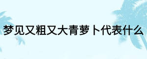 梦见又粗又大青萝卜代表什么