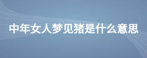 /nameask/25384.html