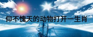 /nameask/25408.html
