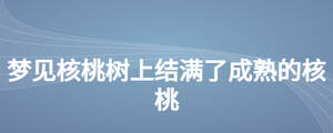 /nameask/25406.html