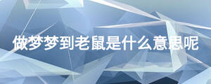 做梦梦到老鼠是什么意思呢