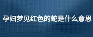 /nameask/25376.html