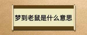/nameask/25401.html