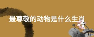 最尊敬的动物是什么生肖