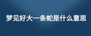 /nameask/25475.html