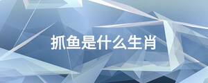 抓鱼是什么生肖