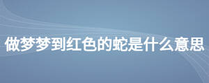 /nameask/25476.html