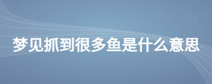 /nameask/25474.html