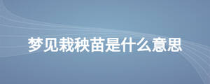 梦见栽秧苗是什么意思