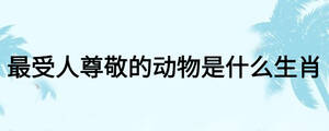 最受人尊敬的动物是什么生肖